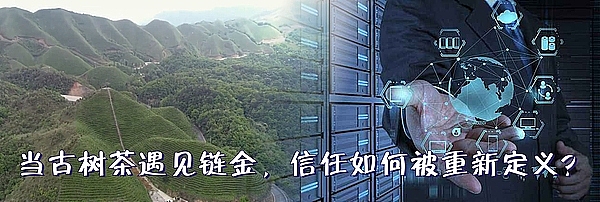市场风云：本周不容错过的加密货币机遇与风险