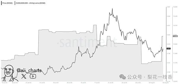 探秘利伯兰：一个充满争议的加密货币乌托邦实验