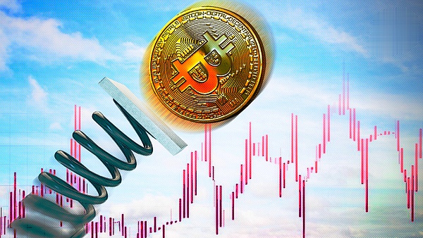 老金复盘：这个行情节奏踩得真准！