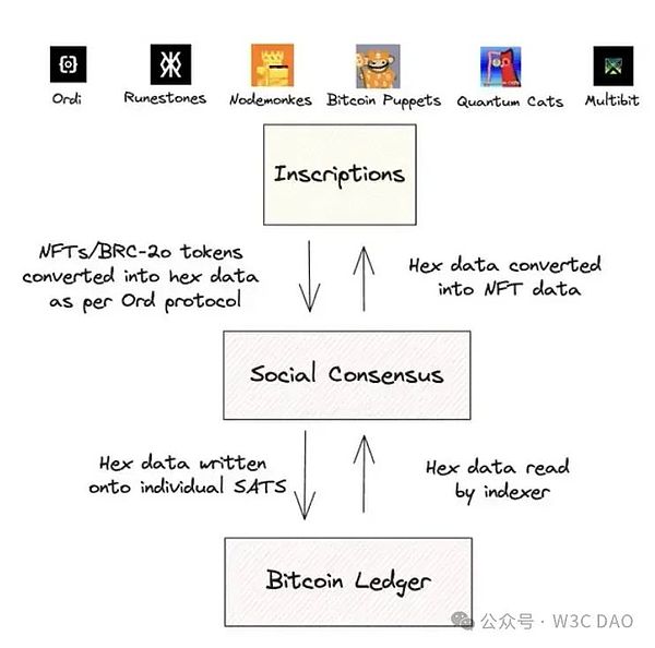 特朗普概念币WLFI今日上线：一场政治与金融的豪赌