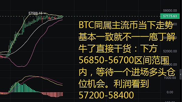 下一轮加密牛市：谁主沉浮？散户与机构的新博弈