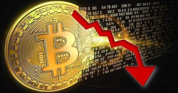 SHIB投资者泪崩：一个月蒸发18.5亿，九成持有者血本无归